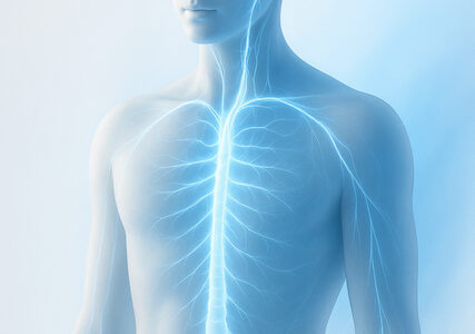 Pijn & Herstel Pijn & Herstel